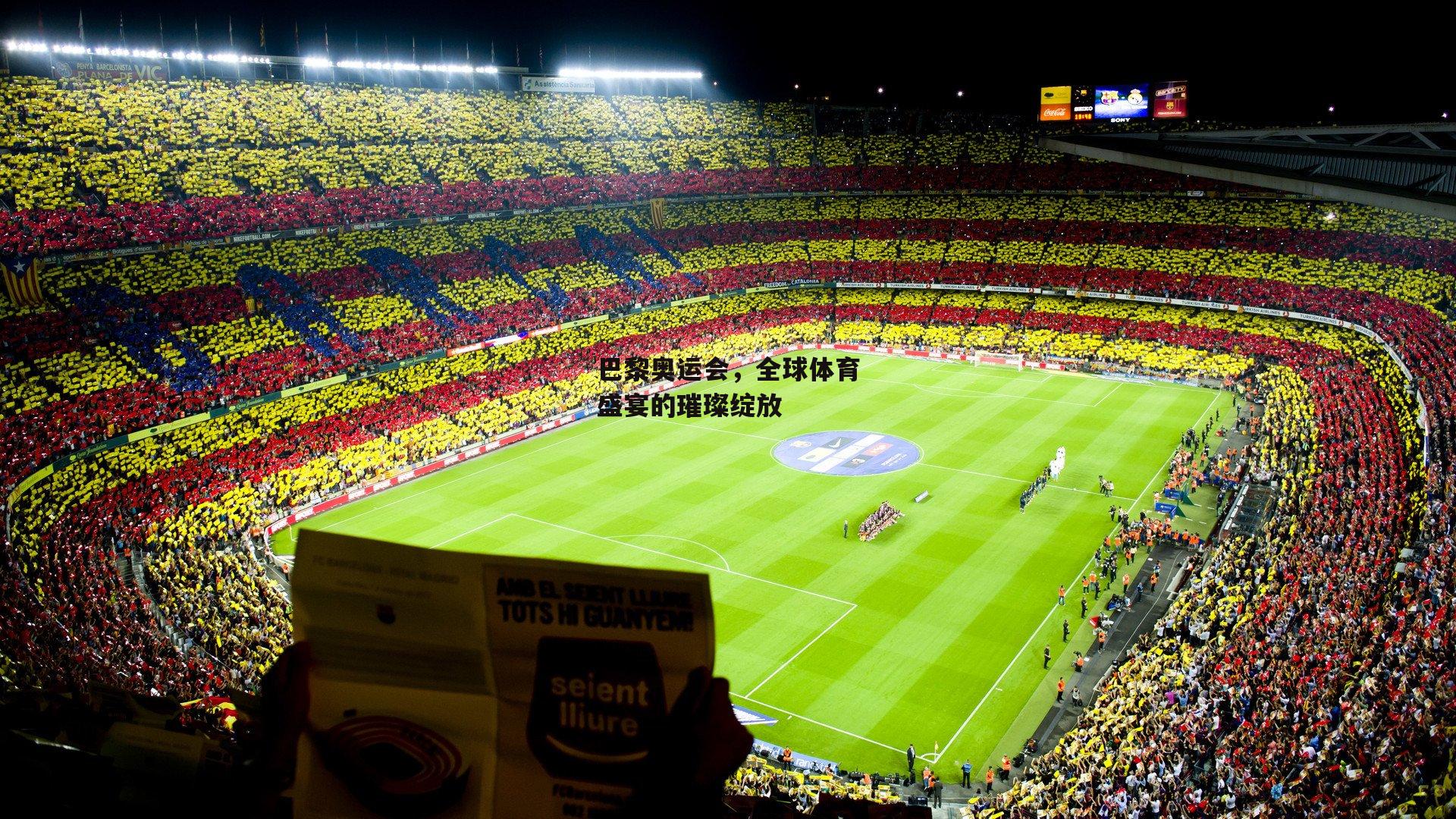 巴黎奥运会,全球体育盛宴的璀璨绽放